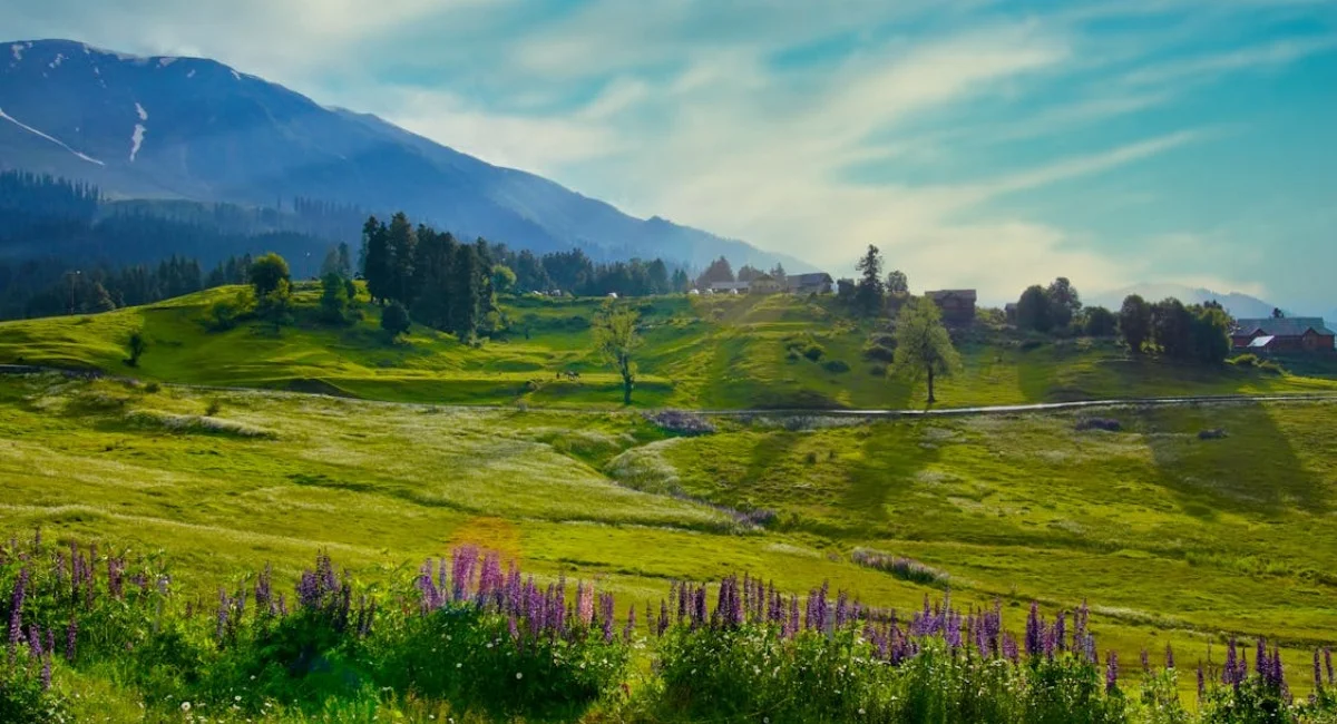 Enchanting Kashmir